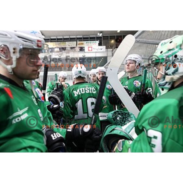Ales Music of SZ Olimpija in action during Alps League regular season ice-hockey match between SZ Olimpija and Asiago in Tivoli Hall, Ljubljana, Slovenia on December 21, 2019
