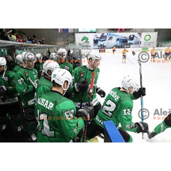Kristjan Cepon of SZ Olimpija in action during Alps League regular season ice-hockey match between SZ Olimpija and Asiago in Tivoli Hall, Ljubljana, Slovenia on December 21, 2019