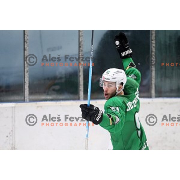 of SZ Olimpija in action during Alps League regular season ice-hockey match between SZ Olimpija and Asiago in Tivoli Hall, Ljubljana, Slovenia on December 21, 2019