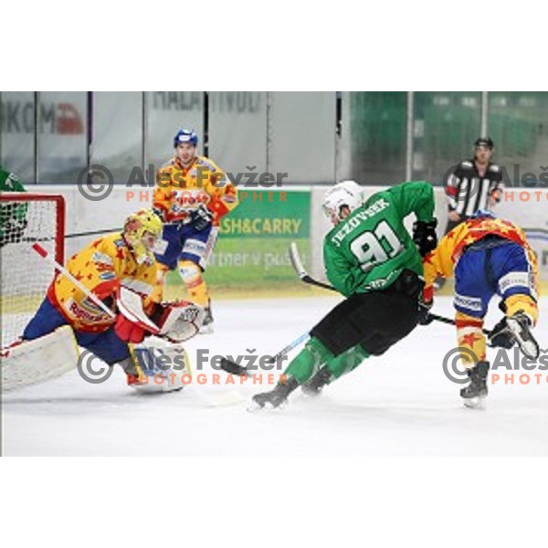 Zan Jezovsek of SZ Olimpija in action during Alps League regular season ice-hockey match between SZ Olimpija and Asiago in Tivoli Hall, Ljubljana, Slovenia on December 21, 2019