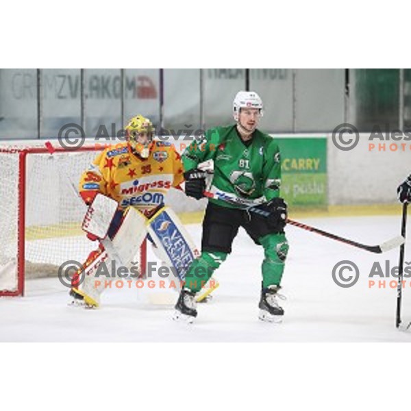 Saso Rajsar of SZ Olimpija in action during Alps League regular season ice-hockey match between SZ Olimpija and Asiago in Tivoli Hall, Ljubljana, Slovenia on December 21, 2019