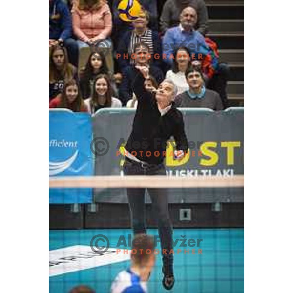 Sasa Arsenovic, mayor of Maribor in action during friendly volleyball match between Slovenia and Netherlands in Dvorana Tabor, Maribor, Slovenia on January 2, 2019