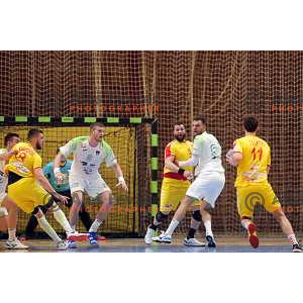 of Slovenia during friendly handball match between Slovenia and Northern Macedonia in Slovenj Gradec on Janaury 3, 2019