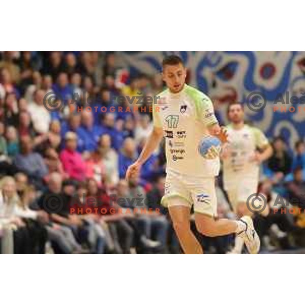 of Slovenia during friendly handball match between Slovenia and Northern Macedonia in Slovenj Gradec on Janaury 3, 2019