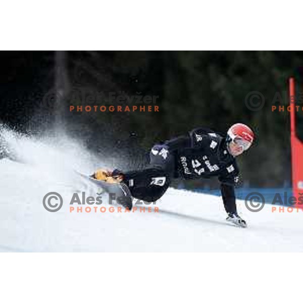 Zan Kosir racing in FIS Snowborad World Cup parallel Giant Slalom at Rogla Ski Resort, Slovenia on January 18, 2020