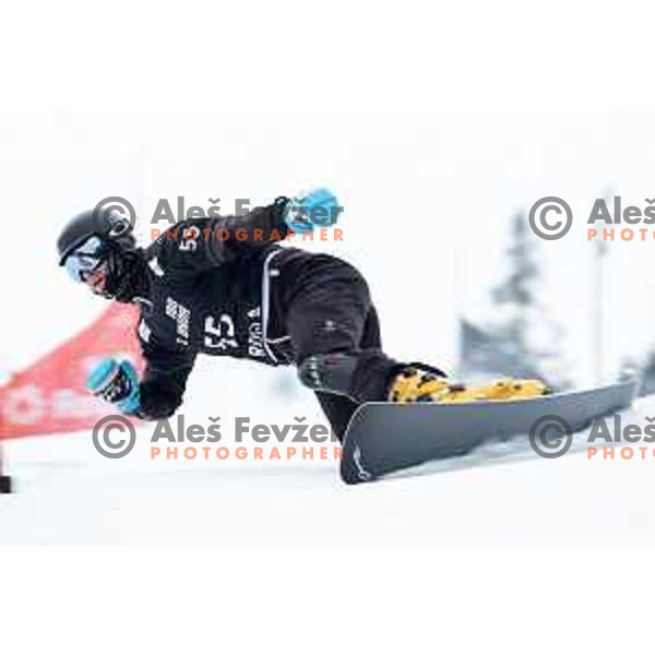 FIS Snowborad World Cup parallel Giant Slalom at Rogla Ski Resort, Slovenia on January 18, 2020