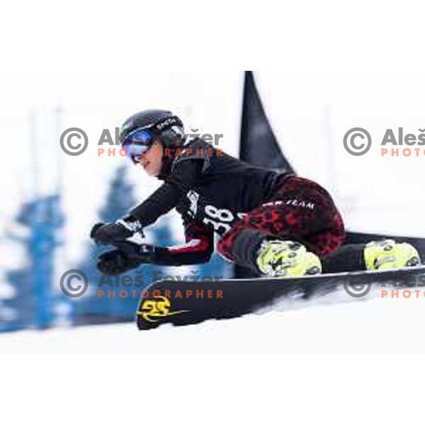 FIS Snowborad World Cup parallel Giant Slalom at Rogla Ski Resort, Slovenia on January 18, 2020