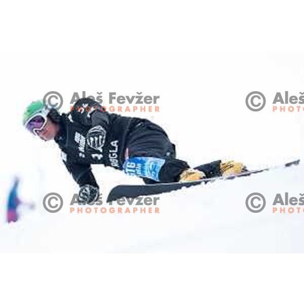 Rok Marguc raving in FIS Snowborad World Cup parallel Giant Slalom at Rogla Ski Resort, Slovenia on January 18, 2020