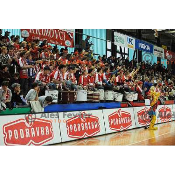 Krim Fans at EHF cup winners\' cup semifinal match Krim Mercator - Rulmentul-Urban Brasov, Ljubljana 