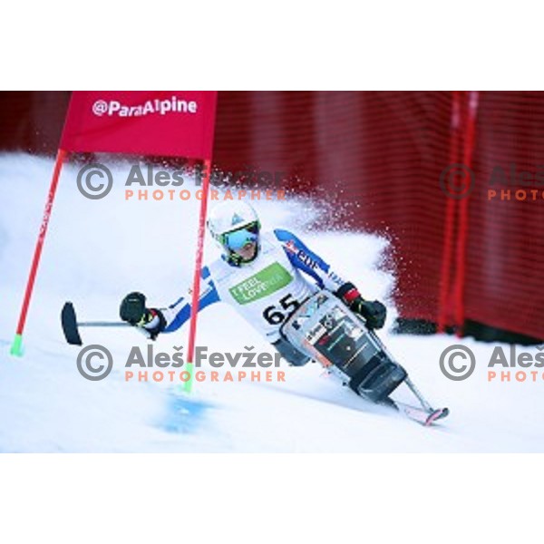 Victor Pierrel skiing in first run of ParaSki World Cup Giant slalom in Kranjska gora, Slovenia on January 22, 2020