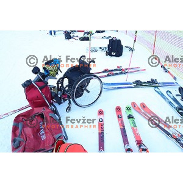 World Para Alpine Skiing World Cup Giant Slalom in Kranjska gora, Slovenia on January 22, 2020