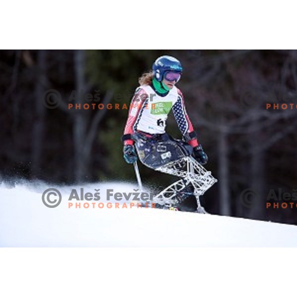 Ravi Drugan skiing in first run of ParaSki World Cup Giant slalom in Kranjska gora, Slovenia on January 22, 2020