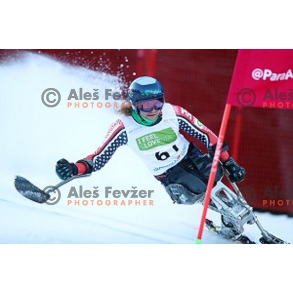 Ravi Drugan skiing in first run of ParaSki World Cup Giant slalom in Kranjska gora, Slovenia on January 22, 2020