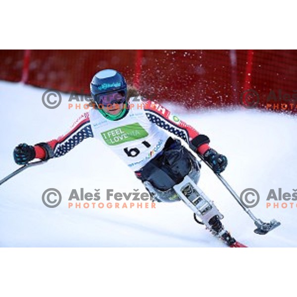 Ravi Drugan skiing in first run of ParaSki World Cup Giant slalom in Kranjska gora, Slovenia on January 22, 2020