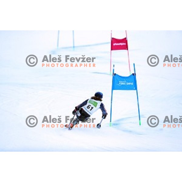 Ravi Drugan skiing in first run of ParaSki World Cup Giant slalom in Kranjska gora, Slovenia on January 22, 2020
