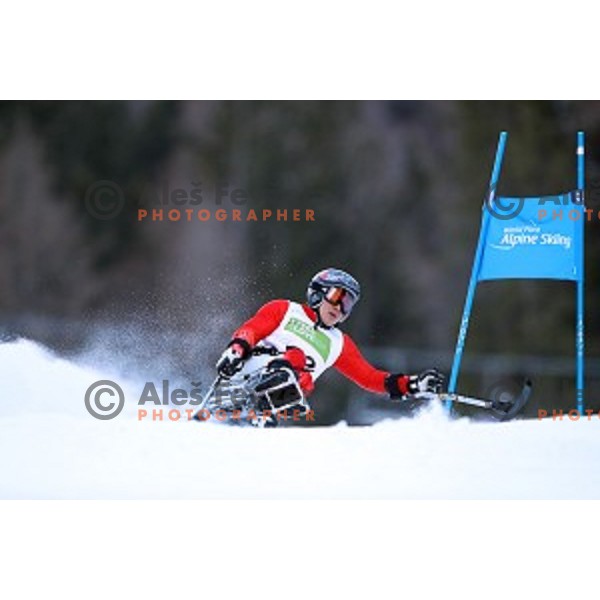 Hui Wang skiing in first run of ParaSki World Cup Giant slalom in Kranjska gora, Slovenia on January 22, 2020