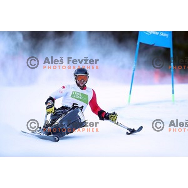 Igor Sikorski skiing in first run of ParaSki World Cup Giant slalom in Kranjska gora, Slovenia on January 22, 2020