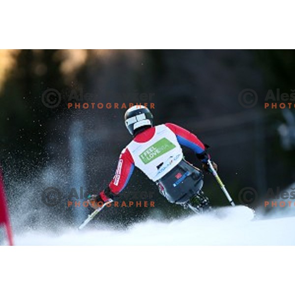 Akira Kano skiing in first run of ParaSki World Cup Giant slalom in Kranjska gora, Slovenia on January 22, 2020