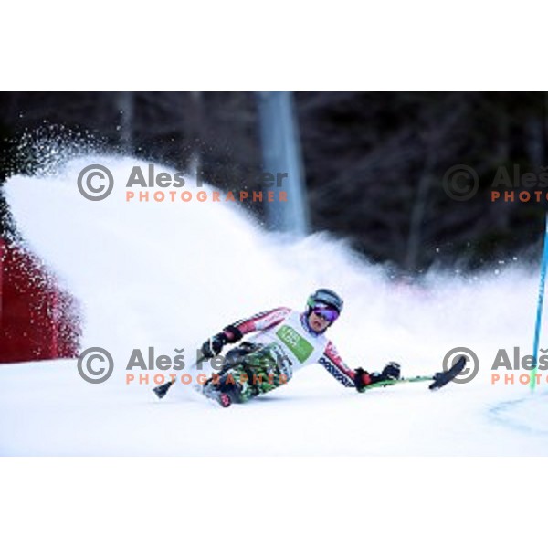 Andrew Kurka skiing in first run of ParaSki World Cup Giant slalom in Kranjska gora, Slovenia on January 22, 2020