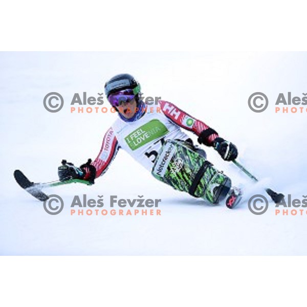 Andrew Kurka skiing in first run of ParaSki World Cup Giant slalom in Kranjska gora, Slovenia on January 22, 2020