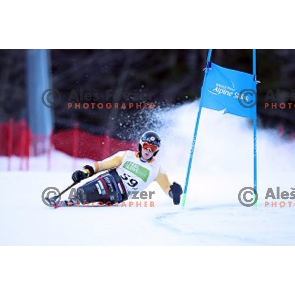 Jeroen Kampschreur skiing in first run of ParaSki World Cup Giant slalom in Kranjska gora, Slovenia on January 22, 2020