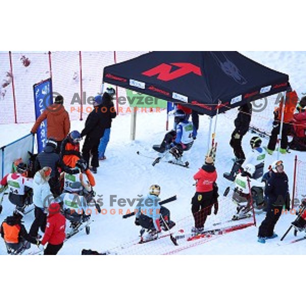 skiing in first run of ParaSki World Cup Giant slalom in Kranjska gora, Slovenia on January 22, 2020