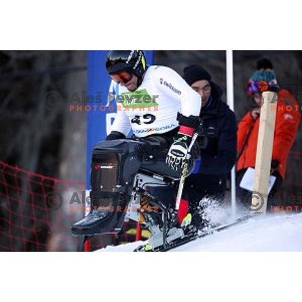 Murat Pelit skiing in first run of ParaSki World Cup Giant slalom in Kranjska gora, Slovenia on January 22, 2020