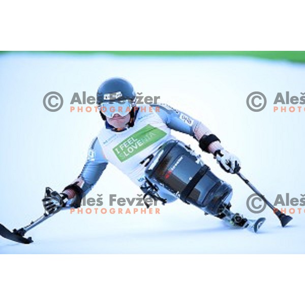 Jesper Pedersen skiing in first run of ParaSki World Cup Giant slalom in Kranjska gora, Slovenia on January 22, 2020