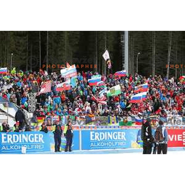 Single Mixed Relay at IBU Biathlon World Cup at Pokljuka, Slovenia on January 25, 2020