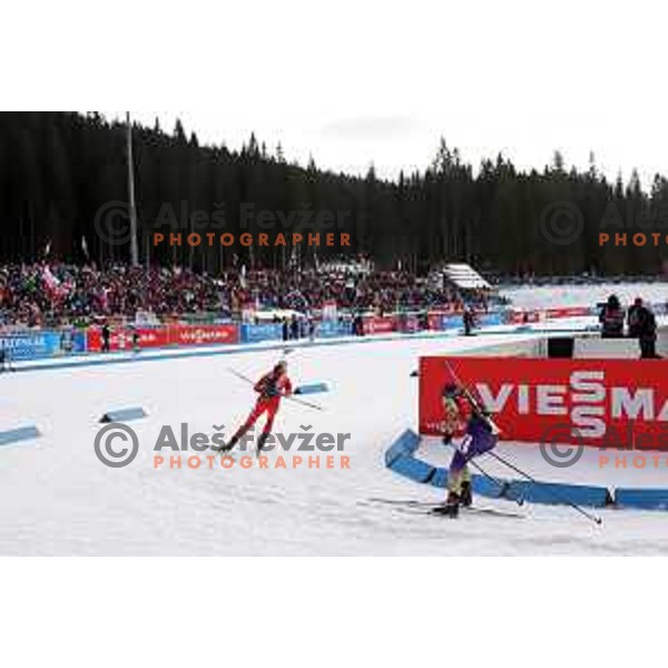 Single Mixed Relay at IBU Biathlon World Cup at Pokljuka, Slovenia on January 25, 2020