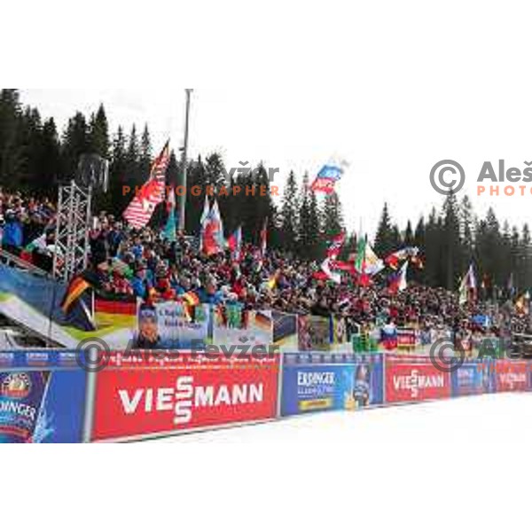 Single Mixed Relay at IBU Biathlon World Cup at Pokljuka, Slovenia on January 25, 2020