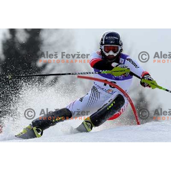 Rainer Schoenfelder (AUT) in first run of Audi FIS Alpine Ski World Cup Slalom in Kranjska gora, Slovenia on 9th of March 2008. Photo by Ales Fevzer 