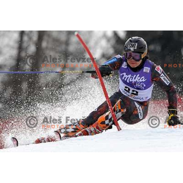 Akira Sasaki (JPN) in first run of Audi FIS Alpine Ski World Cup Slalom in Kranjska gora, Slovenia on 9th of March 2008. Photo by Ales Fevzer 
