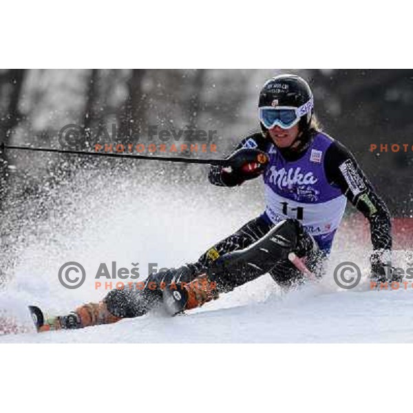 Ted Ligety (USA) in first run of Audi FIS Alpine Ski World Cup Slalom in Kranjska gora, Slovenia on 9th of March 2008. Photo by Ales Fevzer 
