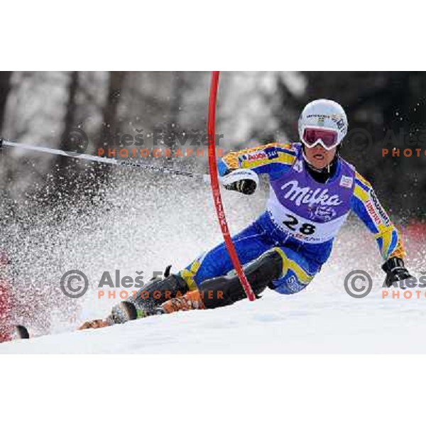 Mattias Hargin (SWE) in first run of Audi FIS Alpine Ski World Cup Slalom in Kranjska gora, Slovenia on 9th of March 2008. Photo by Ales Fevzer 