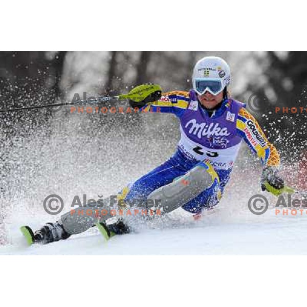 Johan Brolenius (SWE) in first run of Audi FIS Alpine Ski World Cup Slalom in Kranjska gora, Slovenia on 9th of March 2008. Photo by Ales Fevzer 