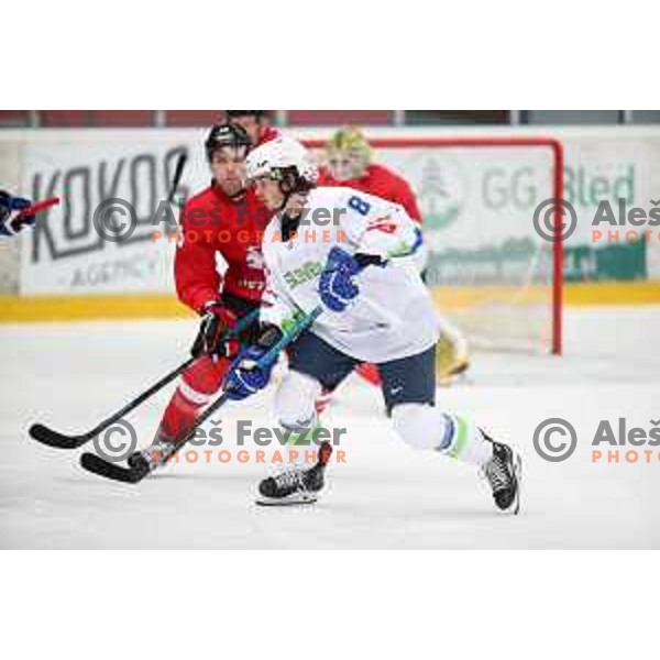 in action during ice-hockey match between Slovenia and Lithuania at Olympic Ice-Hockey Pre-Qualification tournament in Jesenice, Slovenia on February 6, 2020
