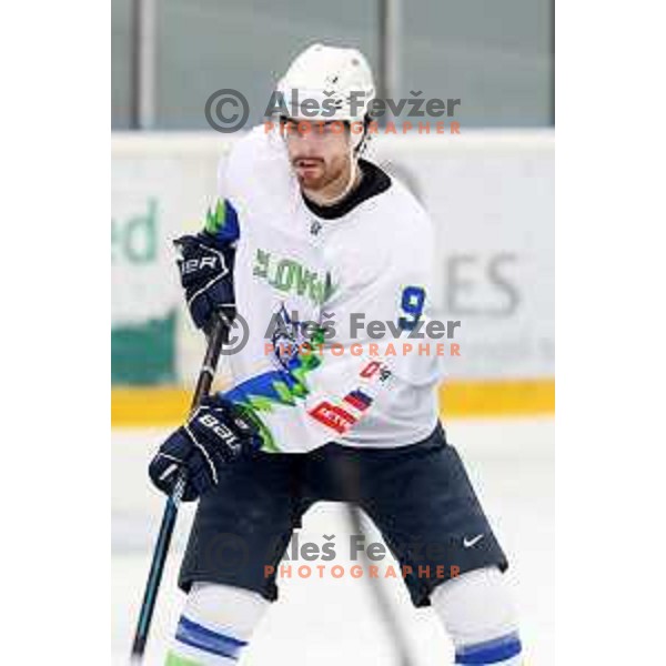 in action during ice-hockey match between Slovenia and Lithuania at Olympic Ice-Hockey Pre-Qualification tournament in Jesenice, Slovenia on February 6, 2020