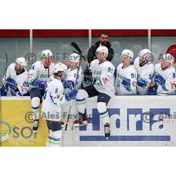 in action during ice-hockey match between Slovenia and Lithuania at Olympic Ice-Hockey Pre-Qualification tournament in Jesenice, Slovenia on February 6, 2020
