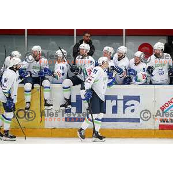 in action during ice-hockey match between Slovenia and Lithuania at Olympic Ice-Hockey Pre-Qualification tournament in Jesenice, Slovenia on February 6, 2020