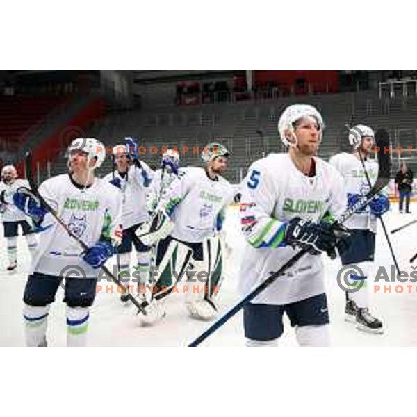 in action during ice-hockey match between Slovenia and Lithuania at Olympic Ice-Hockey Pre-Qualification tournament in Jesenice, Slovenia on February 6, 2020