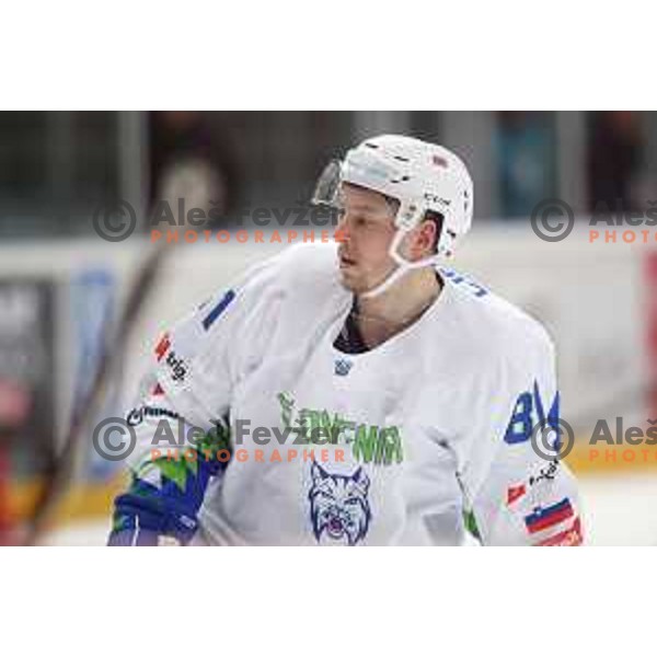 in action during ice-hockey match between Slovenia and Lithuania at Olympic Ice-Hockey Pre-Qualification tournament in Jesenice, Slovenia on February 6, 2020