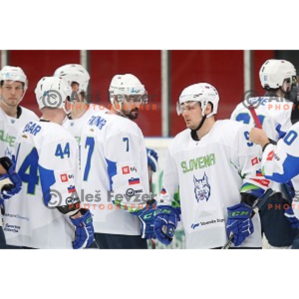 in action during ice-hockey match between Slovenia and Lithuania at Olympic Ice-Hockey Pre-Qualification tournament in Jesenice, Slovenia on February 6, 2020
