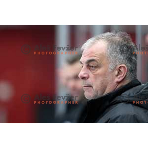 Matjaz Kopitar during ice-hockey match between Slovenia and Japan at Olympic Ice-Hockey Pre-Qualification tournament in Jesenice, Slovenia on February 9, 2020