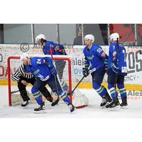 in action during ice-hockey match between Slovenia and Japan at Olympic Ice-Hockey Pre-Qualification tournament in Jesenice, Slovenia on February 9, 2020