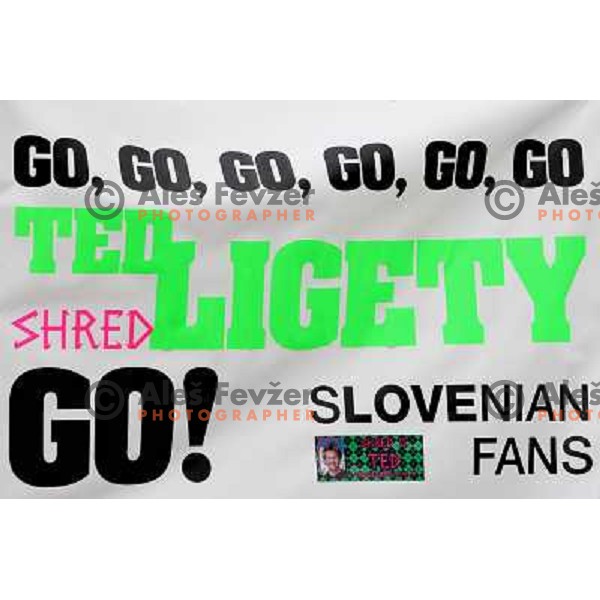 Support for Ted Ligety at Audi FIS Alpine Ski World Cup Giant Slalom in Kranjska gora, Slovenia on 8th of March 2008. Photo by Ales Fevzer 