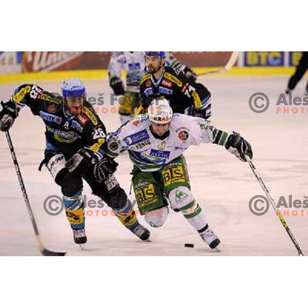 Jaka Avgustincic at sixth ice-hockey game of semi-final of EBEL league between ZM Olimpija- Black Wings Linz in Hala Tivoli, Ljubljana 9.3.2008. ZM Olimpija won the game 2:0 and series 4:2 and advanced to final. Photo by Ales Fevzer 