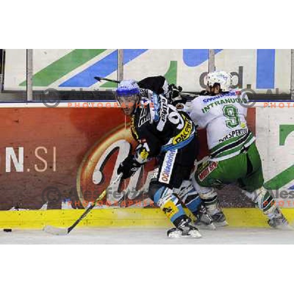 Intranuovo at sixth ice-hockey game of semi-final of EBEL league between ZM Olimpija- Black Wings Linz in Hala Tivoli, Ljubljana 9.3.2008. ZM Olimpija won the game 2:0 and series 4:2 and advanced to final. Photo by Ales Fevzer 