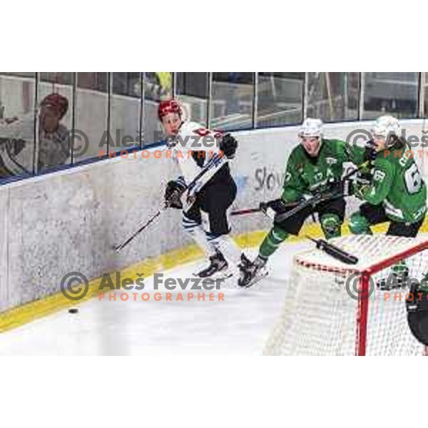 Blaz Tomazevic of Acroni Jesenice in action during Alps League regular season ice-hockey match between SZ Olimpija and Acroni Jesenice in Tivoli Hall, Ljubljana, Slovenia on February 13 , 2020