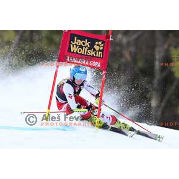 Katharina truppe (AUT) skiing in the first run of AUDI FIS Alpine Ski World Cup Giant Slalom for 56. Golden Fox Trophy in Kranjska gora, Slovenia on February 15, 2020